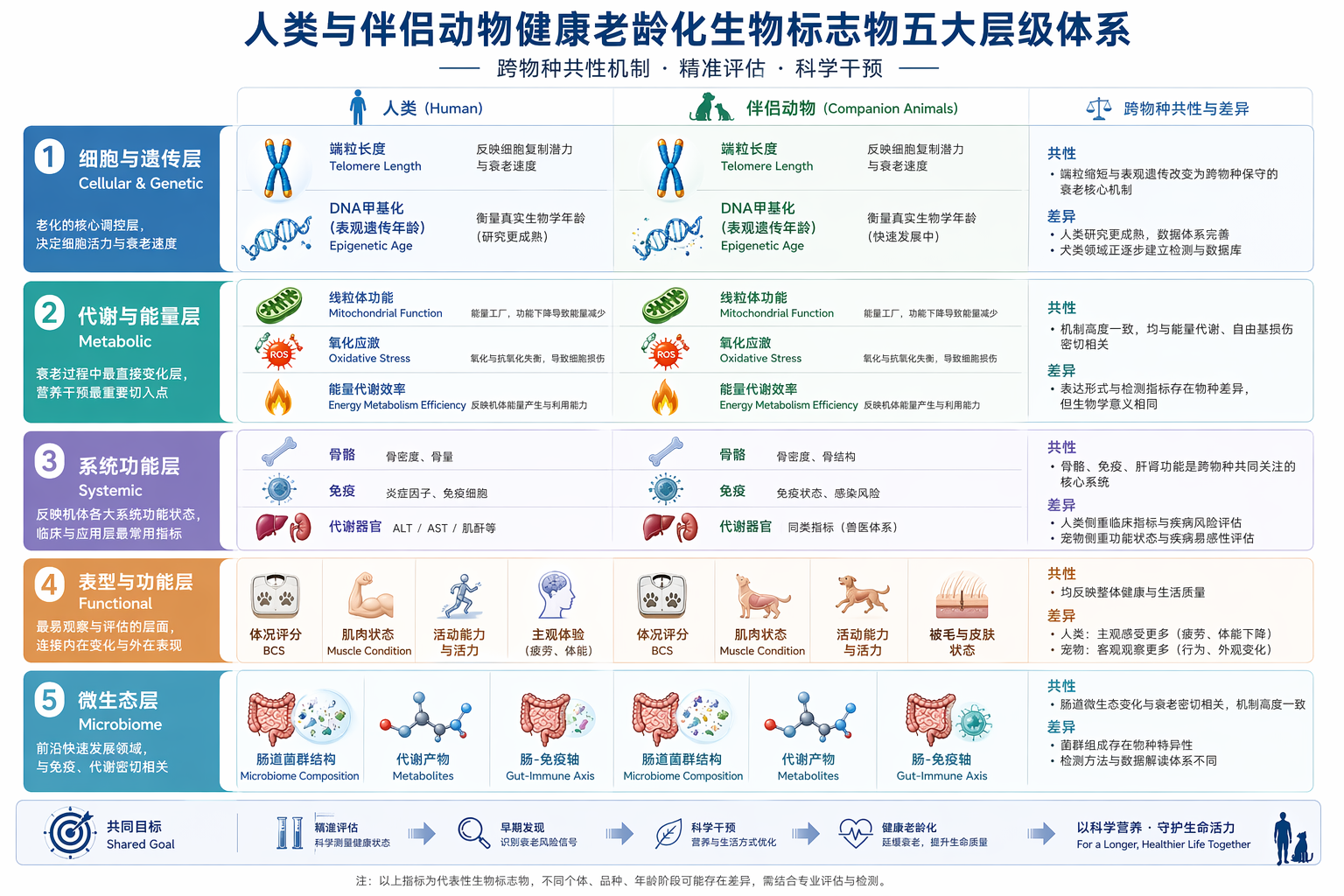 人类与伴侣动物健康老龄化生物标志物比较图。